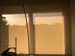 Store enrollable beige