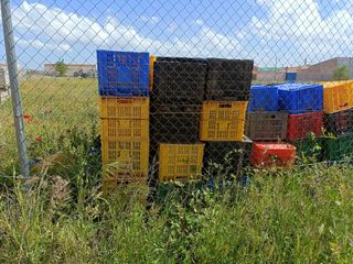 Cajas plásticas usadas se encuentran en ALBACETE