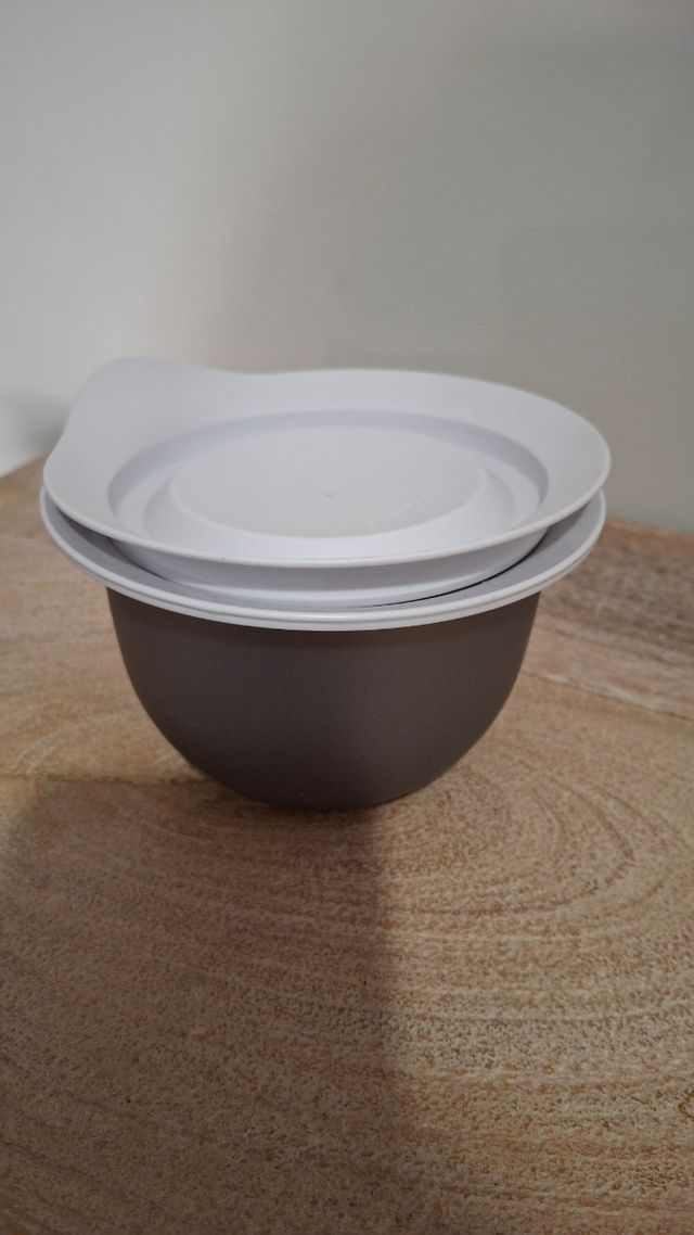 Tupperware Recipiente Multiusos Gris