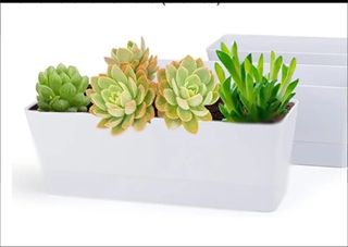 12 mini jardineras. Reutiliza. Recicla. Reusa