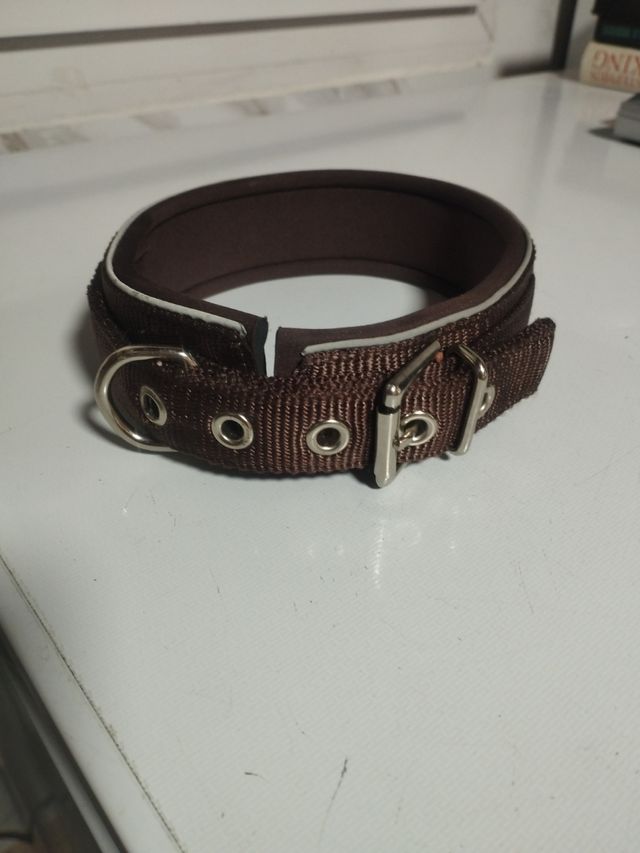 Collar perro marrón y blanco