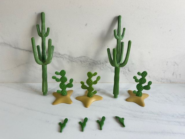 Playmobil cactus