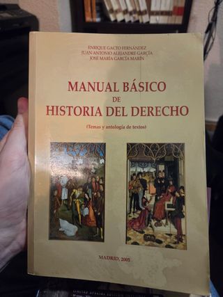 MANUAL BASICO DE HISTORIA DEL DERECHO (TEMAS Y ANT