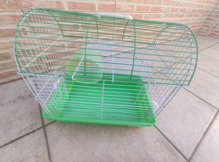 Jaula hamster