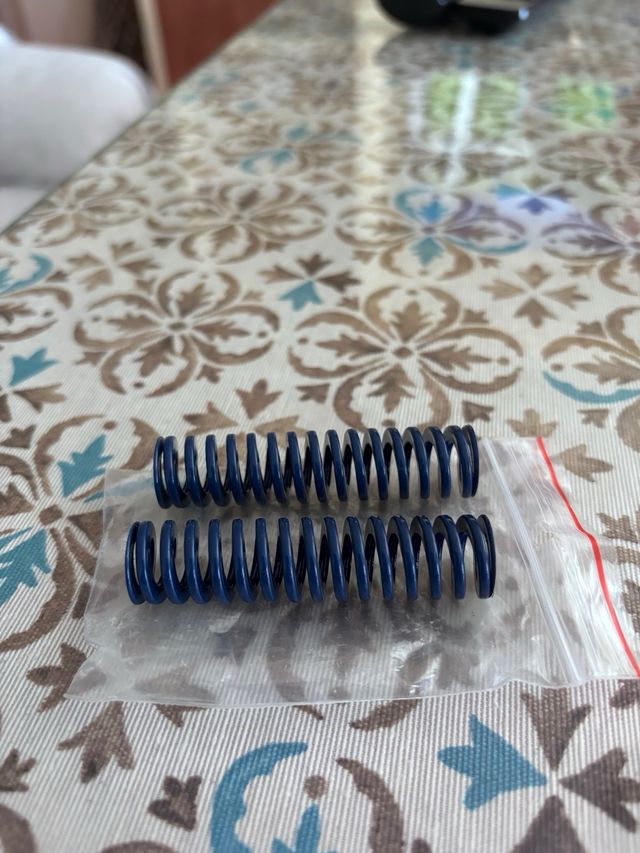 2 Muelles Amortiguadores Maletero VAG