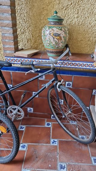 Bici antigua