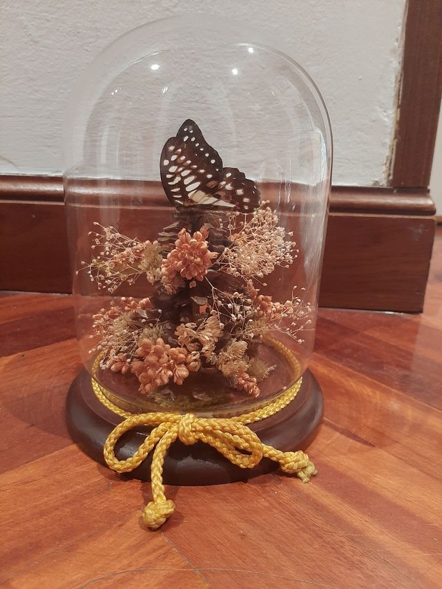 Fanal campana de cristal con Mariposa