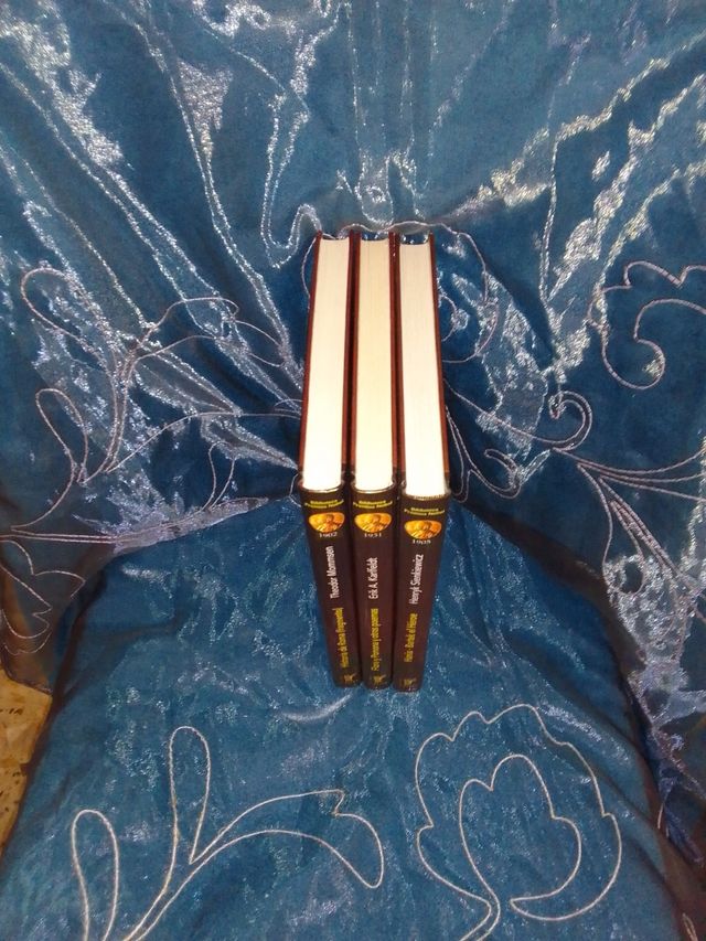 Biblioteca premios novel 