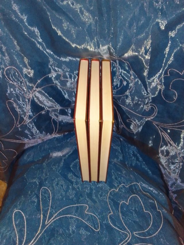 Biblioteca premios novel 