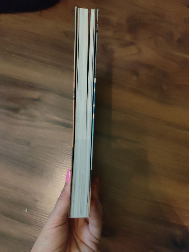 Los Forasteros del Tiempo 1: La aventura de los...