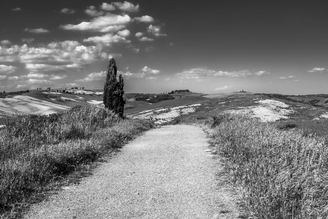 Poster fotografico paesaggio toscano monocromatico