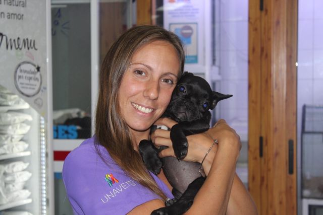 Canguro perro - Dogsitter