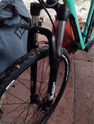 Bicicleta WST POISON 29