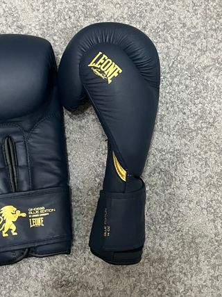 Guantes boxeo LEONE