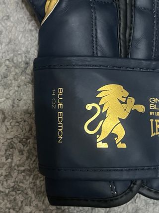 Guantes boxeo LEONE