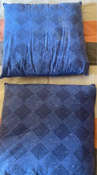 2 cojines con funda y relleno