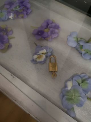 Candaou  BOLSO Louis Vuitton