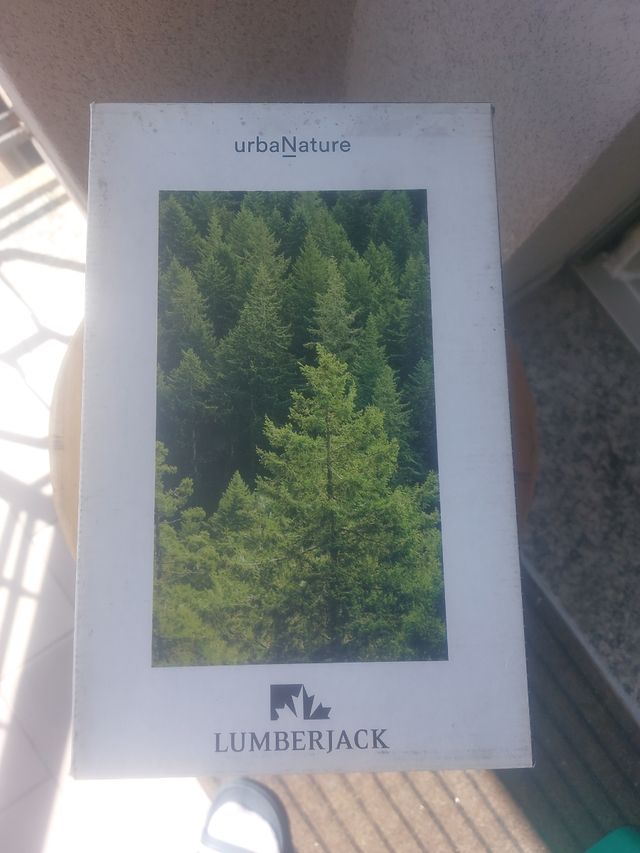 Scarpe Lumberjack bimba 36