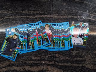 Adrenalyn XL 24-25: cromos