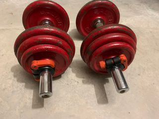 PAREJA DE MANCUERNAS SALTER - USADAS - 12 KG C/U
