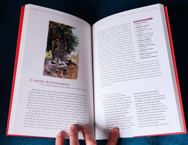 Guía de los árboles singulares (Spanish Edition)