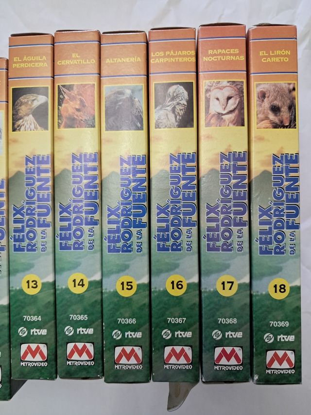 El hombre y la tierra