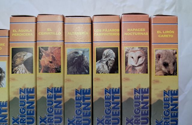 El hombre y la tierra