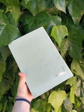 il vocabolario