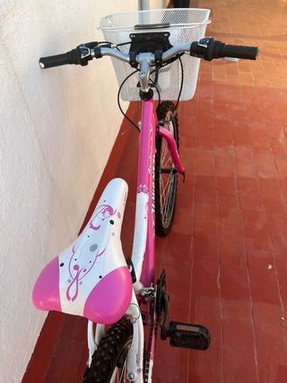 Bicicleta de 24 pulgadas
