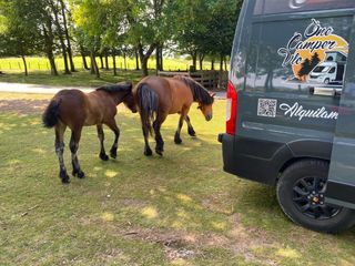 Alquiler Camper noviembre 10% descuento!