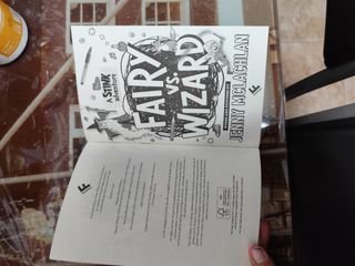Libro en ingles para niño, Stink: Fairy vs Wizard