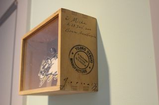 Arte Gato Japón - Y Yujiro Otsuki