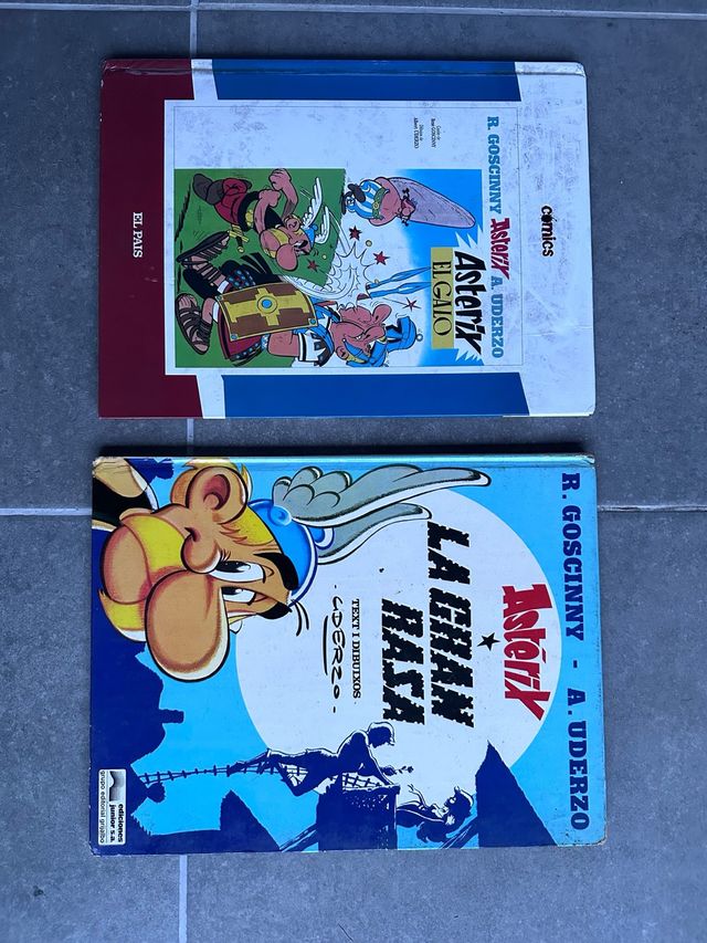 Comics Asterix: Astérix el galo La gran rasa