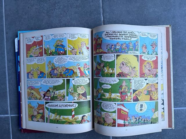 Comics Asterix: Astérix el galo La gran rasa