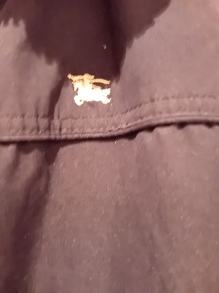 Cazadora Burberry azul marino hombre