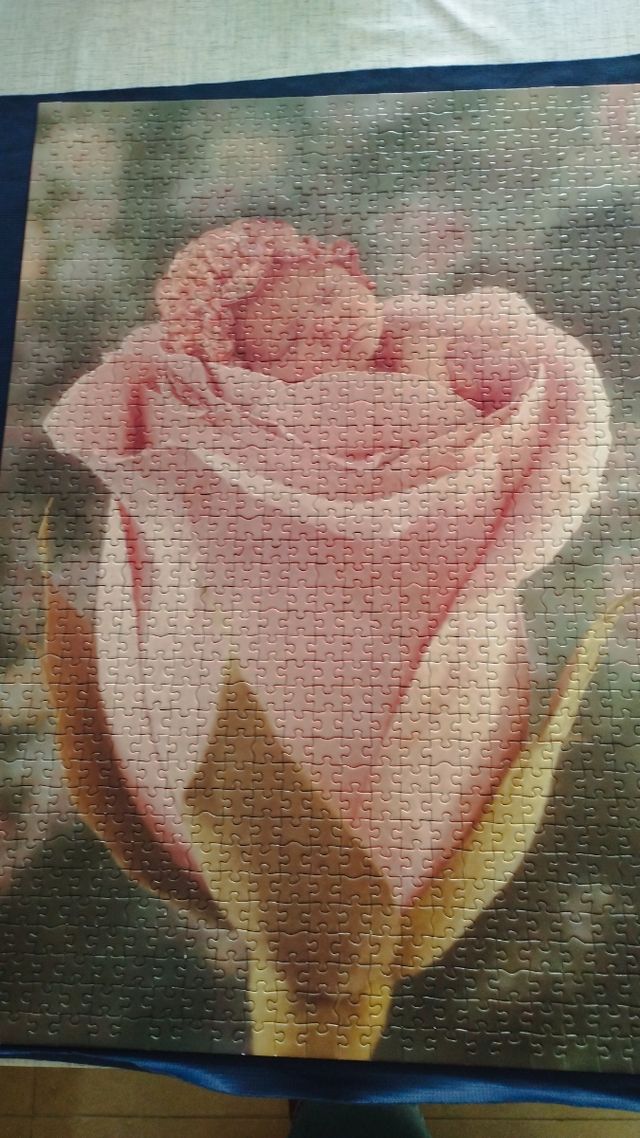Puzzle Anne Geddes 1000 piezas