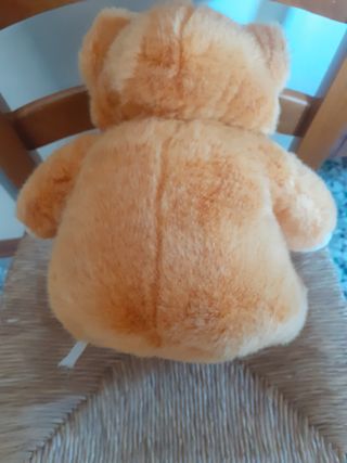 Orso peluche 