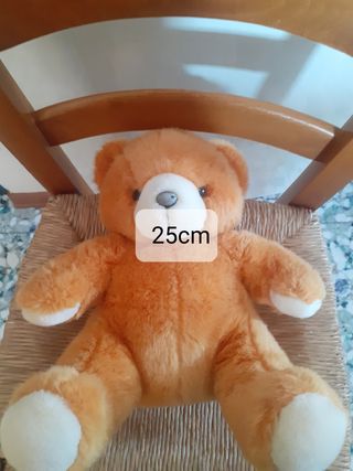 Orso peluche 