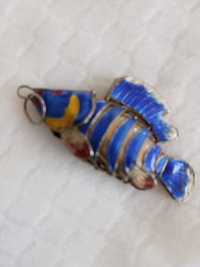 Sgombro articolato portato da Ceuta autantica