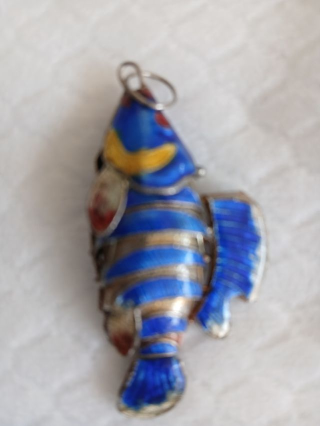 Sgombro articolato portato da Ceuta autantica