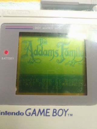 Juego Game Boy: La Familia Adams