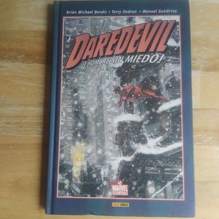 Marvel Knights:Daredevil 06