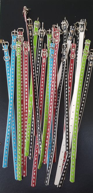 Collarino per animali piccola taglia 