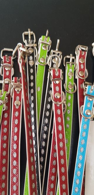 Collarino per animali piccola taglia 