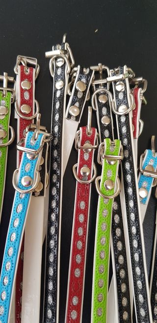 Collarino per animali piccola taglia 