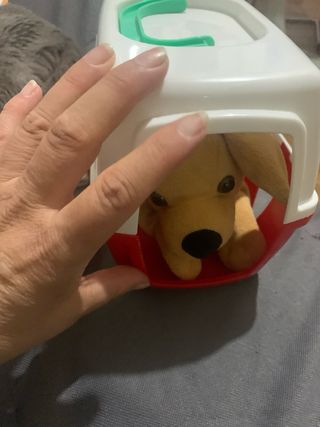 Trasportino cane giocattolo