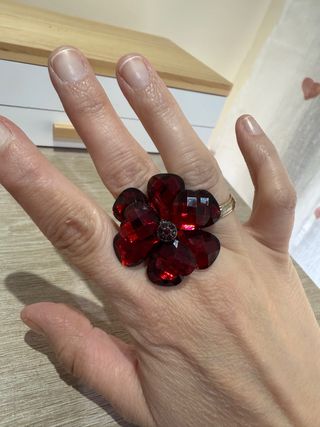 Anillo