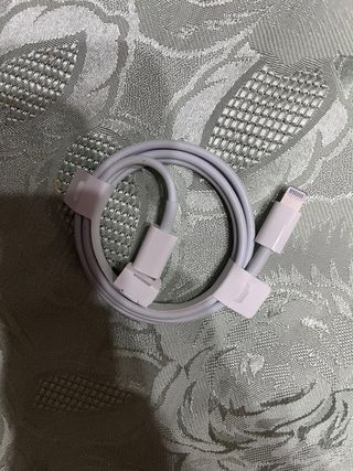 Caricatore Apple originale per Iphone