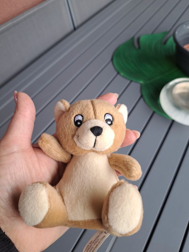 Coppia orsetti  nuovi 