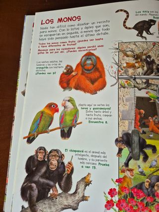 Busca los animales del zoo (Spanish Edition)
